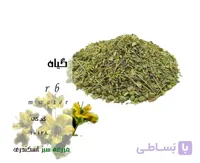 گیاه سداب