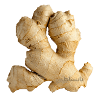 زنجبیل تازه