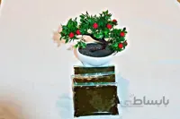 قورمه سبزی معمولی-ارسال فقط برای تهران