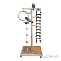 استند طوطی کدSPS6