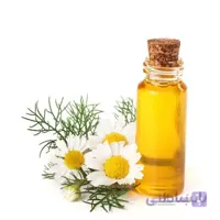 روغن بابونه
