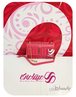 کد 1194 کیف دخترانه کوچک ysl