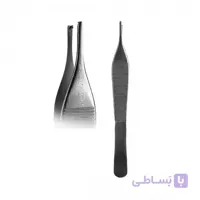 پنس ادسون کوخری