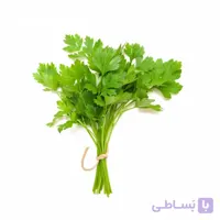بذر گشنیز کد 331310