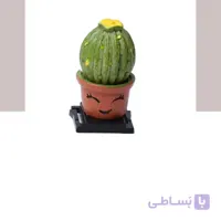 درپوش کفشک فلاش‌ دوربین طرح کاکتوس