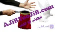 کیسه ظاهر شدن کبوتر (سطح حرفه ای)