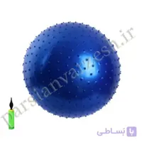 توپ فیزیوبال 75 خاردار