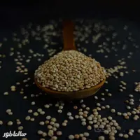 دانه کینوا