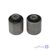 بوش طبق ساینا