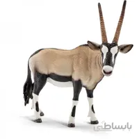 غزال اشلایش 14759