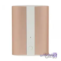 پاور بانک راوپاور RP-PB197