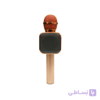 اسپیکر پرتابل میکروفونی ProOne مدل PBM02 ا PBM02