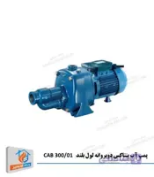پمپ آب پنتاکس دوپروانه لول بلند CAB 300/01