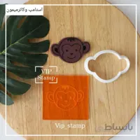 استامپ وکاتر میمون