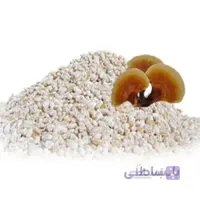 بذر قارچ گانودرما نسل اول