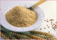 جوانه گندم 500 گرمي