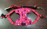 قلاده کتفی بدنی یونیک پت unique pet (سایز ۴)