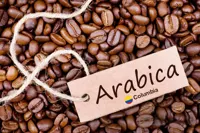 دان قهوه عربیکا کلمبیا