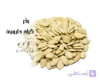 تخم کدو