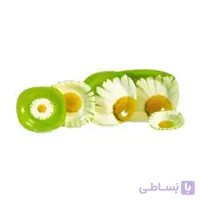 سرویس غذاخوری 25 پارچه آذین اوپال کد 508