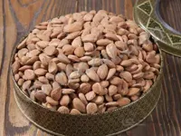 هسته زردآلو خام