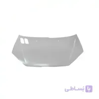 کاپوت ۲۰۶ همگام شرکتی رنگی