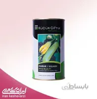 بذر کدو وایت بوش هیبرید ترکیه ای کوچوک چفتلیک