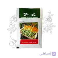 بذر خانگی کدو خورشتی هیبرید آذر سبزینه