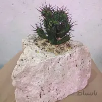 پکیج شماره ۴