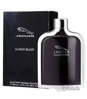 Classic Black Jaguar