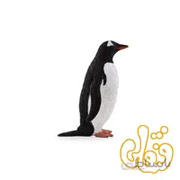 پنگوئن جنتو Gentoo Penguin 387184
