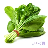 بذر اسفناج