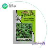 بذر آویشن باغی آرکا بذر