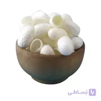 پیله ابریشم