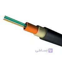 کابل فیبر نوری Dintek مدل 12Core MM Indoor/Outdoor LSZH
