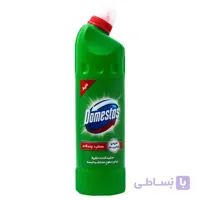 مایع سفیدکننده غلیظ دامستوس سبز حجم 750 میلی لیتر ا Domestos concentrated bleach Green 750 ml