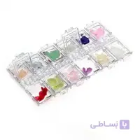 دیزاین گل خشک کاشت ناخن