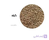 بذر کرفس کد 819063