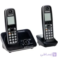 گوشی تلفن  بی سیم  پاناسونیک کد 51872