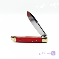 چاقوی میوه خوری دسته صدفی بزرگ