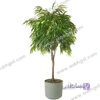 بنجامین آمستل B03 ( ارسال رایگان )