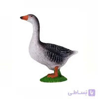 غاز سیاه 381039 – حیوانات موجو