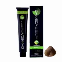 رنگ مو گانسا شماره 8.4 رنگ بلوند بژ روشن ا GANECA Hair Color Cream Light Beige Blonde No:B8_8.4