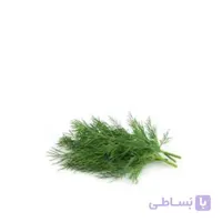 بذر شوید بسته بندی کوچک مدل GPSV7S