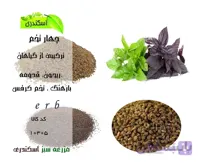 چهار تخم ۲