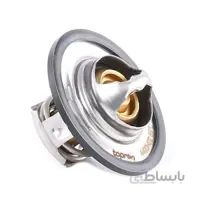 ترموستات مگان 2000
