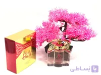 ادکلن رایت مومنتRight moment ا right moment peefume