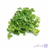 بذر جعفری کد 331289