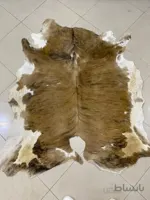 پوست طبیعی گاو تزنیِِینی 19 پایی ا cow skin