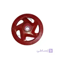 صفحه هالتر فرمونی رنگی